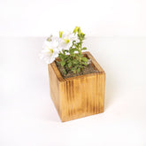 Planter Dixie - waseeh.com